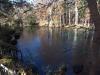 manatee spring