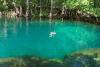 Manatee Springs - Manatee Springhead