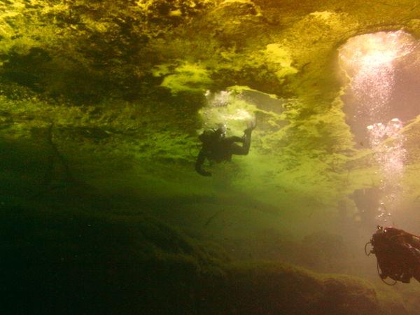 Manatee Springs - Catfish Hotel