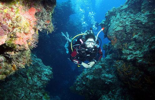 Chankanaab Reef aka Chan Kenaab - Chankanaab Reef