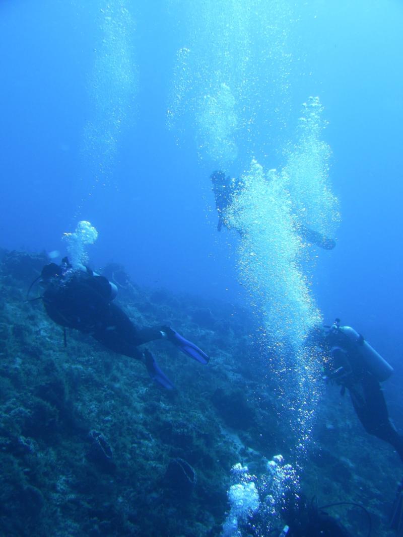 Cedral Pass/Shallows - Drifting the reef