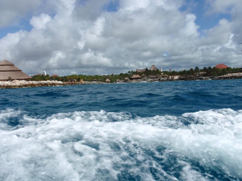 Barracuda Reef - Nice view