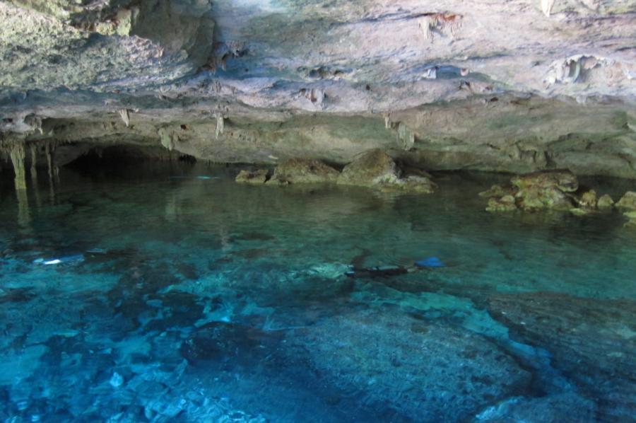 Sistema Dos Ojos - entrance bat cave