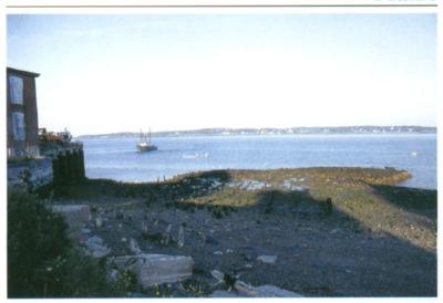 Old Town Pier - Old Town Pier