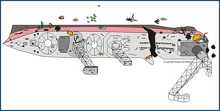 IJNS Akitsushima - Akitsushima Drawing