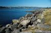Yaquina Bay - Newport OR