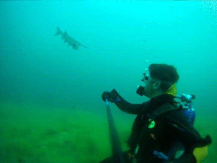 Loch Low-Minn Quarry - Paddle Fish or Sturgeon