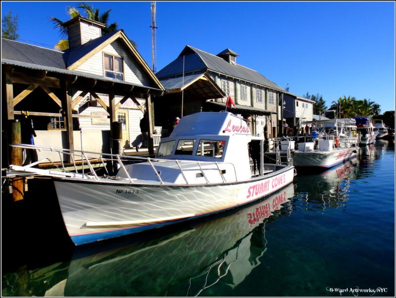 Stuart Cove’s - Nassau - stuart cove’s, bahamas