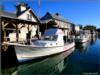 stuart cove’s, bahamas