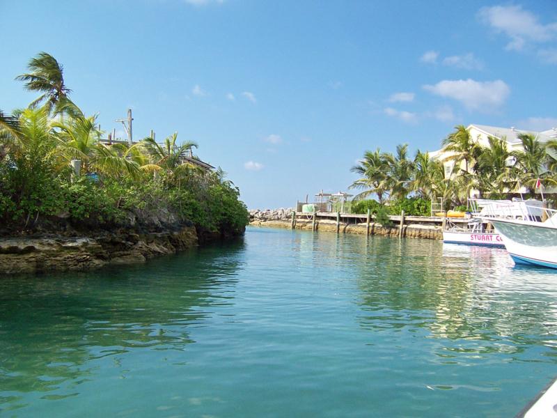 Stuart Cove’s - Nassau - The Cove of Stuart Cove’s