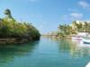 Stuart Cove’s - Nassau - The Cove of Stuart Cove’s