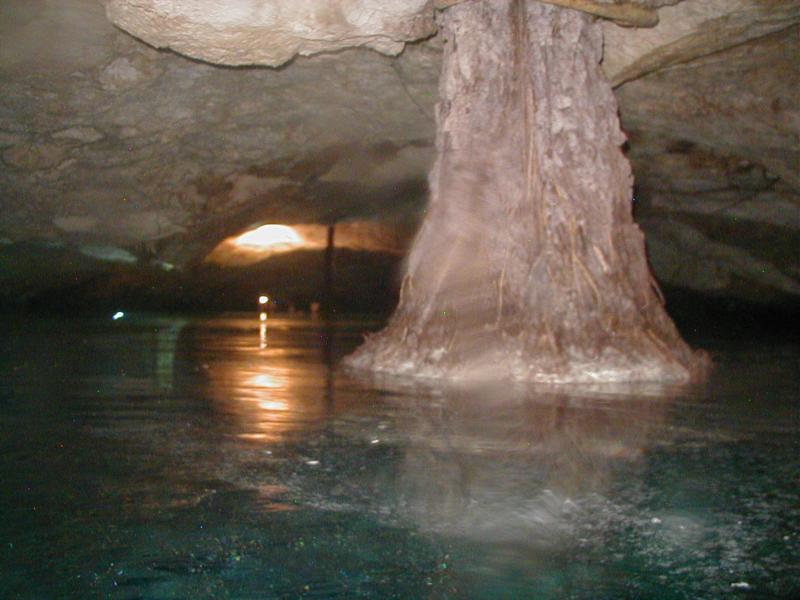 Cenote Chac Mool aka Choc Mool - Chac-Mool Cenote, Tree roots