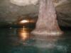 Chac-Mool Cenote, Tree roots