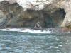 Sunbathing Sea Lions