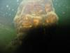 Under Water Statue - pg_diver