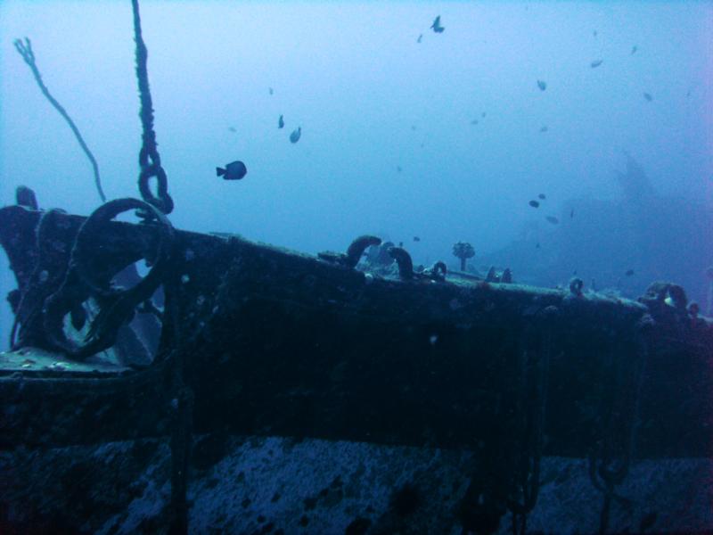 Carthaginian - Bow