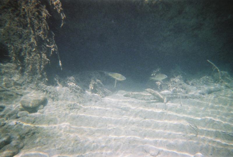 Frio River- Yeargan’s River Bend / Happy Hollow - Frio River Perch