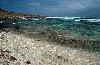 Cabez Reef - Aruba