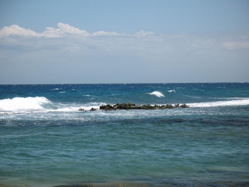 Baby Beach Reef - Baby Beach Reef, Aruba