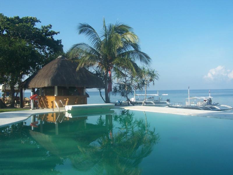 Balicasag Beach Resort, Bohol - poolside