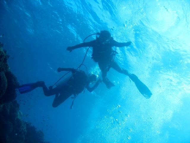 Balicasag Beach Resort, Bohol - let’s go diving!