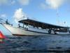 Wakatobi Dive Resort - Locally made diveboat has side entry