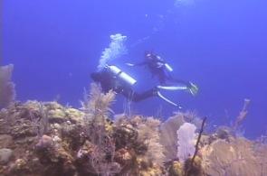 Boneyard - Boneyard, Providenciales, TCI