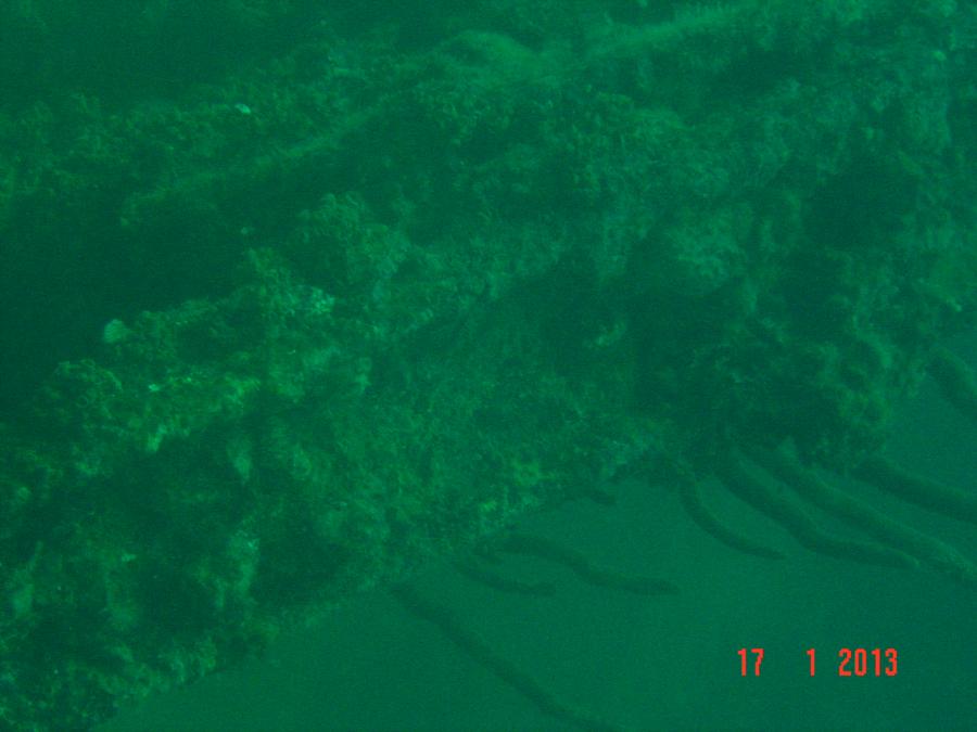 Antilla Wreck - Antilla structure