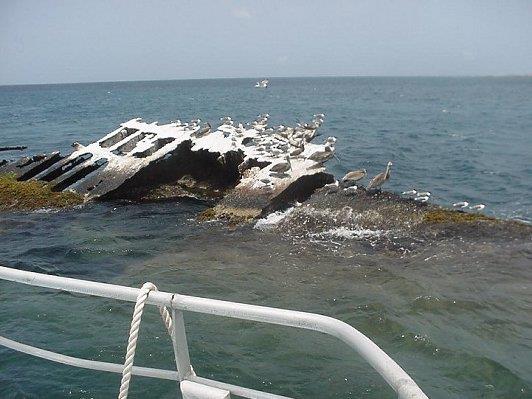 Antilla Wreck - Antilla wreck protruding from water surface