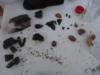 Teeth, Fossils and Shells we found 8-13-11