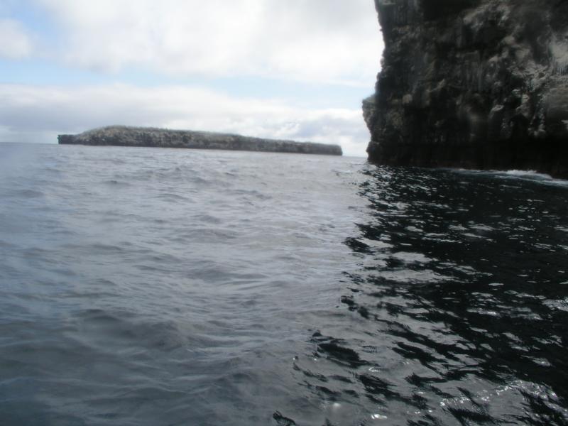 Landslide, Wolf Island - Wolf Is., there is a humpback just below the surface