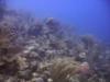 Eagle Ray Pass, Pine Cay, TCI - Turks And Caicos Islands