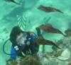 Sunset Reef/House reef - My dive buddy watching squid