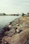 Shark River Inlet - A Street entry looking east