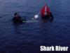 Shark River Inlet - Shark River NJ - OK and Ready to Go