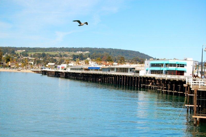 Santa Cruz Wharf - Life’s a Beach