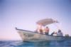 Loreto, Baja California Sur, Mexico - Ponga Boats