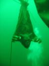 Sailboat Guardian - scubaman24