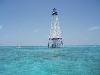 Alligator Reef - Key Largo, Florida