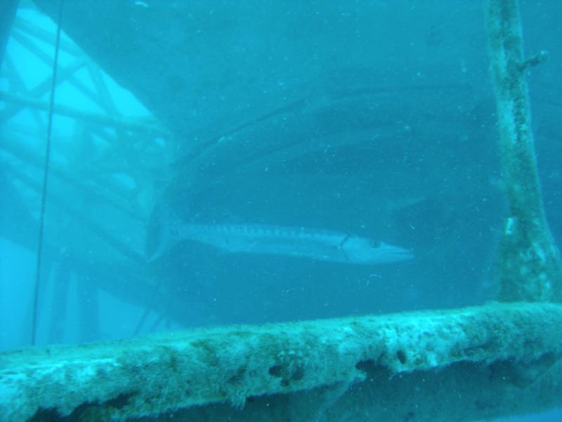 USNS Gen. Hoyt S. Vandenberg - First signs of life 