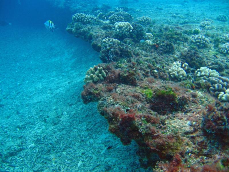 Koko Craters - the ledge