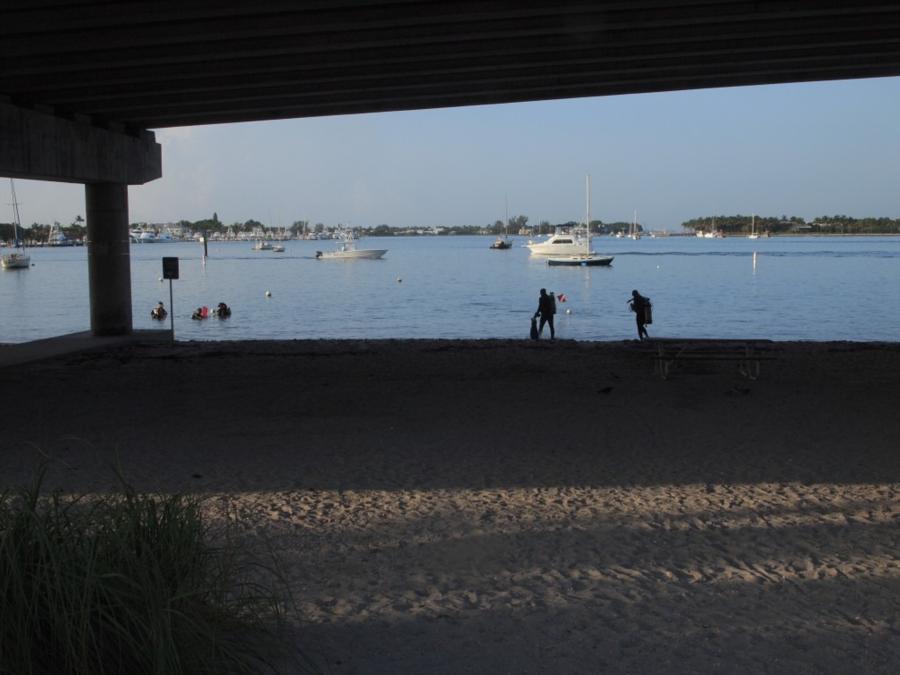 Blue Heron Bridge aka Phil Foster Park, BHB - Looking south under BHB