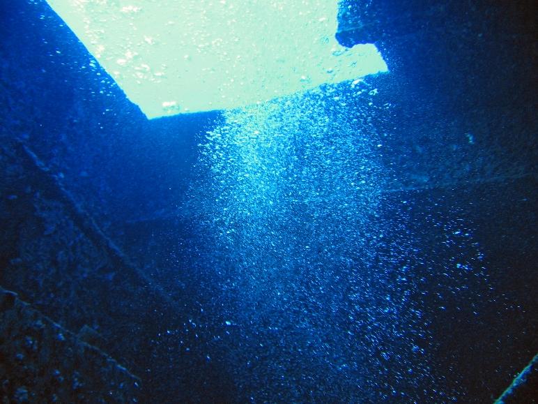 Kahala Barges - inside looking up