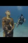 Chintales Reef - Cancun - Mexico