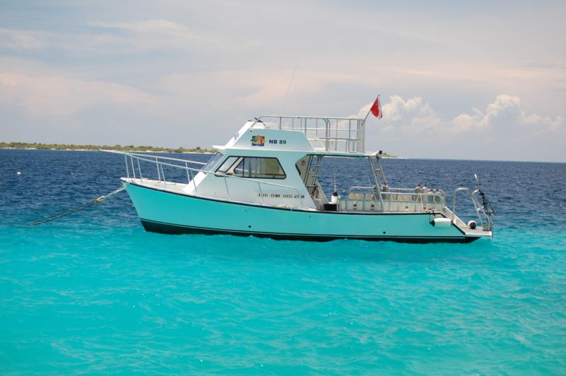 Bonaire - Buddy Dive Resort