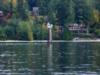 Agate Pass - Channel Marker