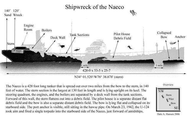 Naeco - Dive drawing