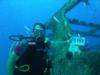 C-53 Wreck, Felipe Xicotencatl - 100th Dive !!!! Cozumel MX. 