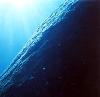 Large rock in the Scuba Cove area - ScubaGuy_CA