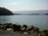 South Holston Lake - shl